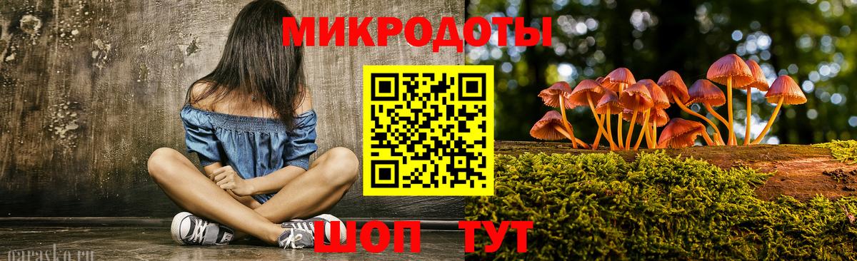 Псилоцибиновые грибы Psilocybe Каспийск